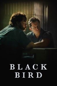 Download AppleTv+ Black Bird Season 1 2022 {English With Subtitles} WeB-HD 720p [250MB] || 1080p [1.1GB]