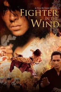 Download Fighter In The Wind (2004) Dual Audio {Hindi-Korean} Esubs BluRay 480p [473MB] || 720p [1.2GB] || 1080p [2.6GB]