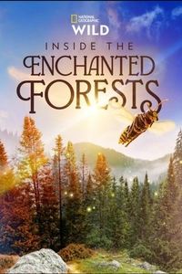 Download Inside the Enchanted Forests (Season 1) (English Audio) Esubs Web-Dl 720p [350MB] || 1080p [2.2GB]