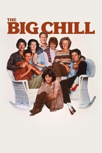 Download The Big Chill (1983) Dual Audio {Hindi-English} Esubs BluRay 480p [364MB] || 720p [1.0GB] || 1080p [2.2GB]